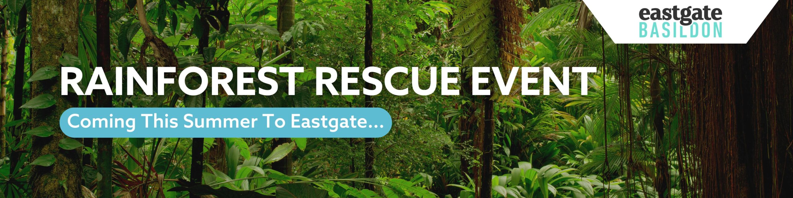Rainforest at Eastgate!
