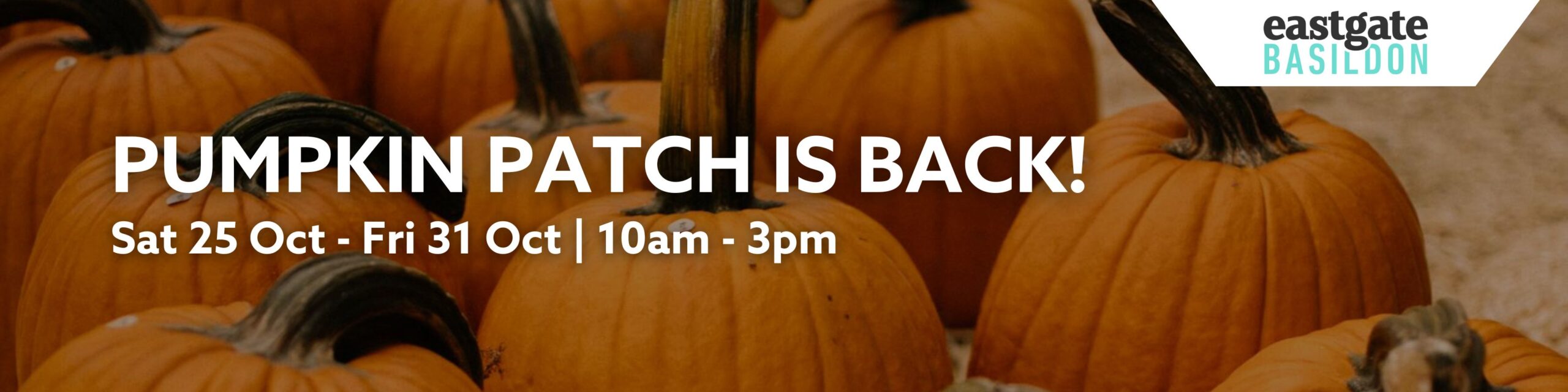 Eastgate Pumpkin Patch 2025
